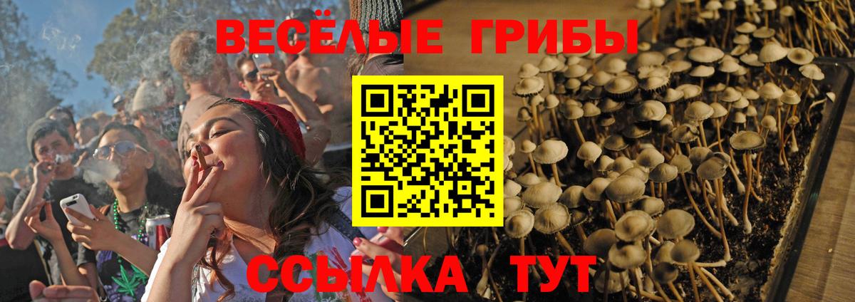 Галлюциногенные грибы MAGIC MUSHROOMS Лангепас