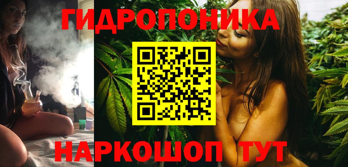Шишки марихуана Ganja  Канабис план  Бошки марихуана Bruce Banner  Вход с VPN  Каннабис индика  Лангепас 